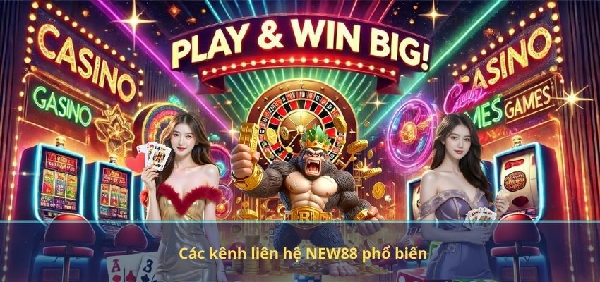 LIÊN HỆ Các kênh liên hệ NEW88 phổ biến