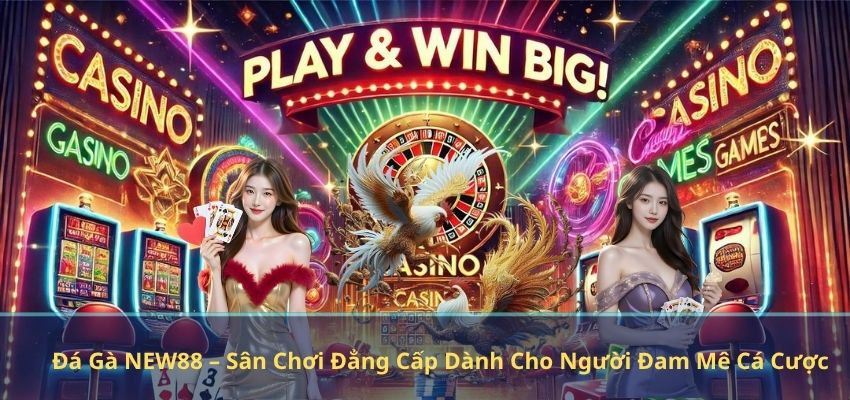 Đá Gà NEW88 – Sân Chơi Đẳng Cấp Dành Cho Người Đam Mê Cá Cược