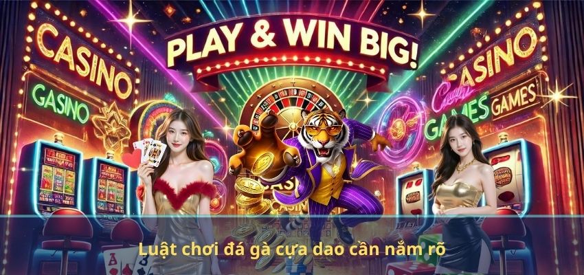 Luật chơi đá gà cựa dao cần nắm rõ