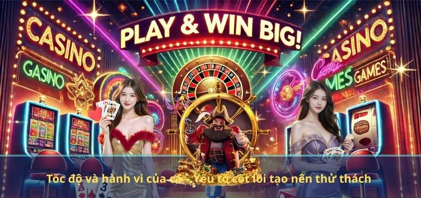 Các Yếu Tố Quyết Định Độ Khó Trong Game Bắn Cá – Hiểu Rõ Để Làm Chủ Cuộc Chơi Yếu tố môi trường và bản đồ – Thử thách từ không gian chơi